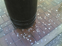 hundreds of pieces of gum surrounding the bin