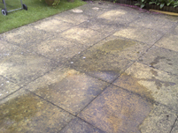 A patio that had not been cleaned for a number of years