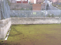 This heavily mossed football pitch urgently required cleaning