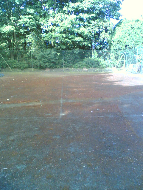 A heavily mossed unplayable tennis court before cleaning